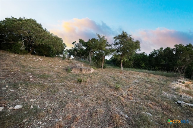 view of nature at dusk