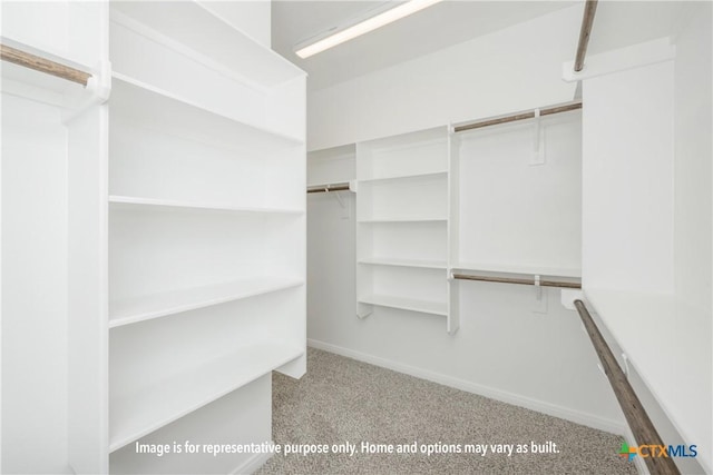 walk in closet with light carpet