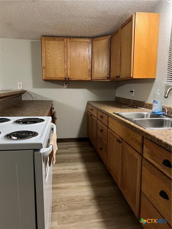 kitchen featuring a textured ceiling, white range with electric stovetop, sink, and light hardwood / wood-style flooring