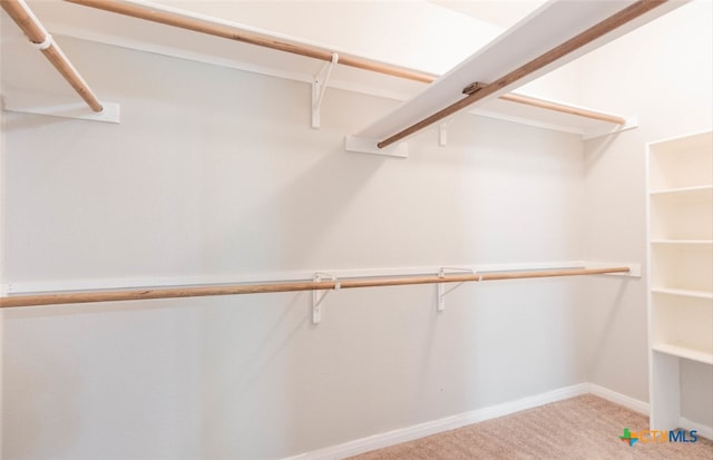 walk in closet featuring light colored carpet