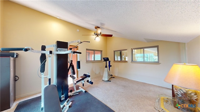 workout area featuring carpet floors, lofted ceiling, ceiling fan, and a textured ceiling