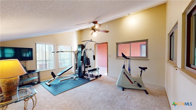 exercise area featuring carpet, a textured ceiling, high vaulted ceiling, and ceiling fan