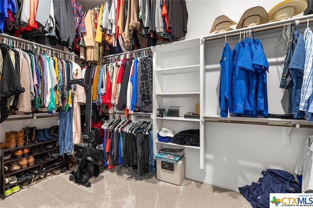 spacious closet featuring carpet floors