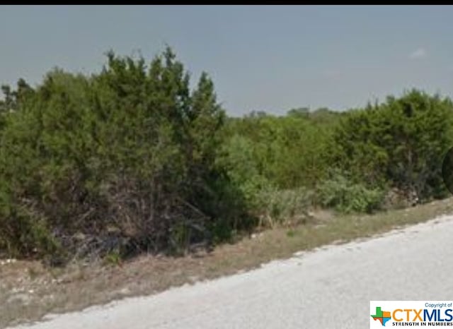 2050 Cottonwood Rd, Fischer TX, 78623 land for sale