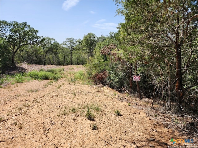 LOT310 Kalihi Ct, Bastrop TX, 78602 land for sale