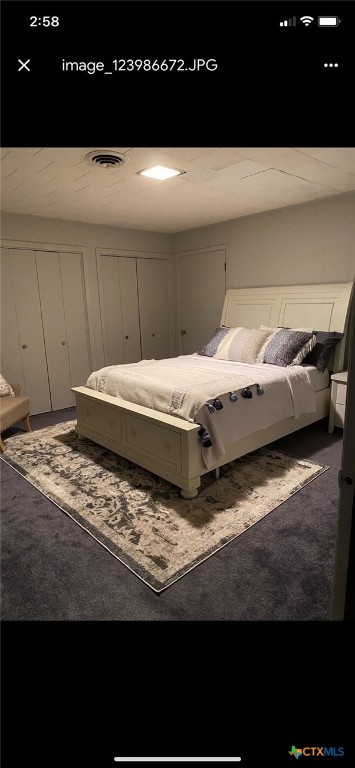 carpeted bedroom with two closets