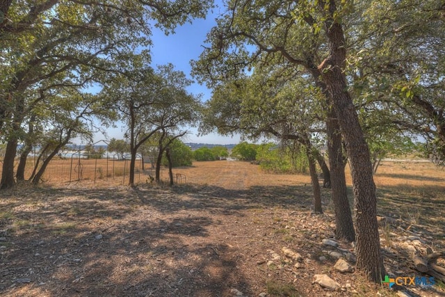 view of yard with a rural view