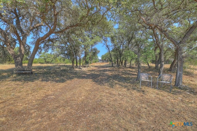 2198 Lakeshore Dr, Canyon Lake, TX 78133 - photo 43