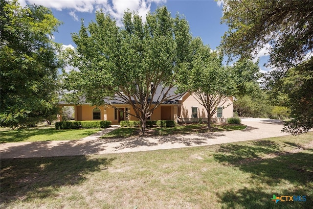 2291 Frontier, Spring Branch, TX 78070 - view of property hidden behind natural elements with a front yard and stucco siding