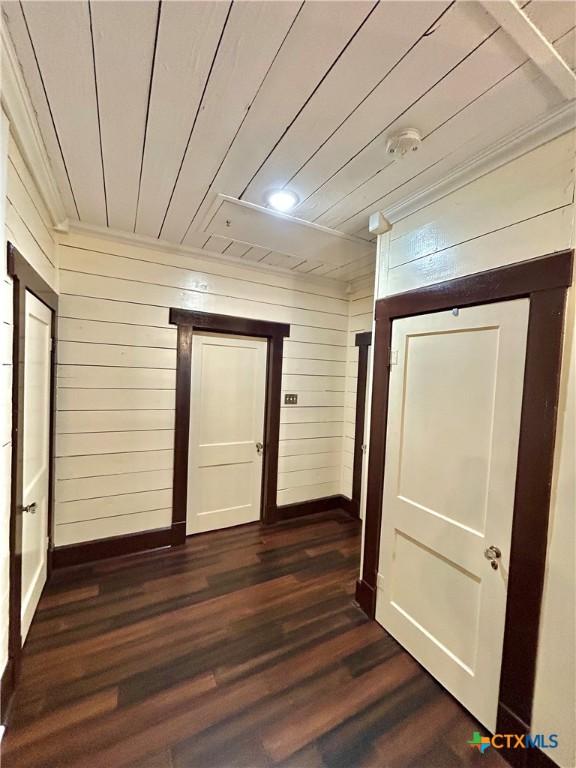 hallway with wooden walls, dark hardwood / wood-style flooring, and wooden ceiling