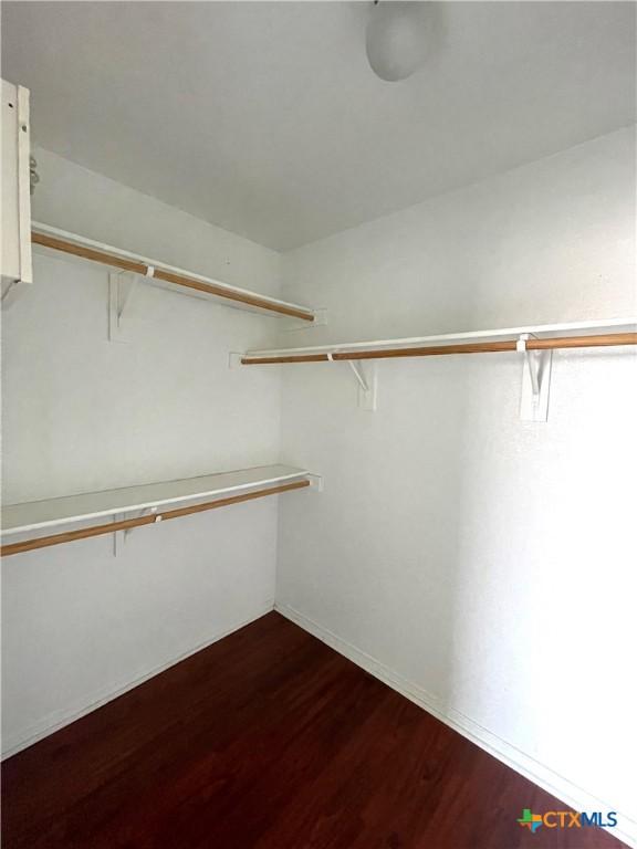 walk in closet featuring dark wood-style flooring
