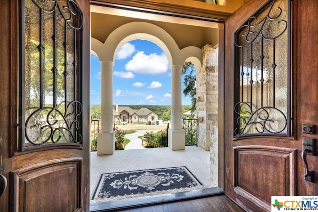 505 Cantera Rdg, New Braunfels, TX 78132 - foyer featuring decorative columns, healthy amount of natural light, and wood finished floors
