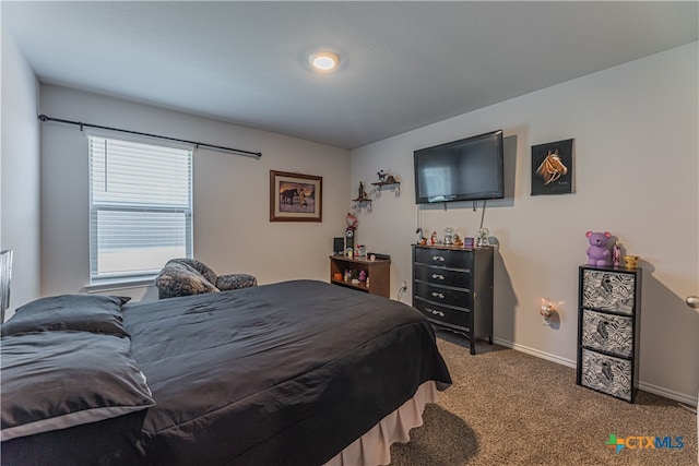 bedroom with carpet