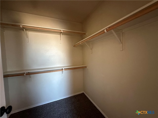 spacious closet featuring carpet flooring