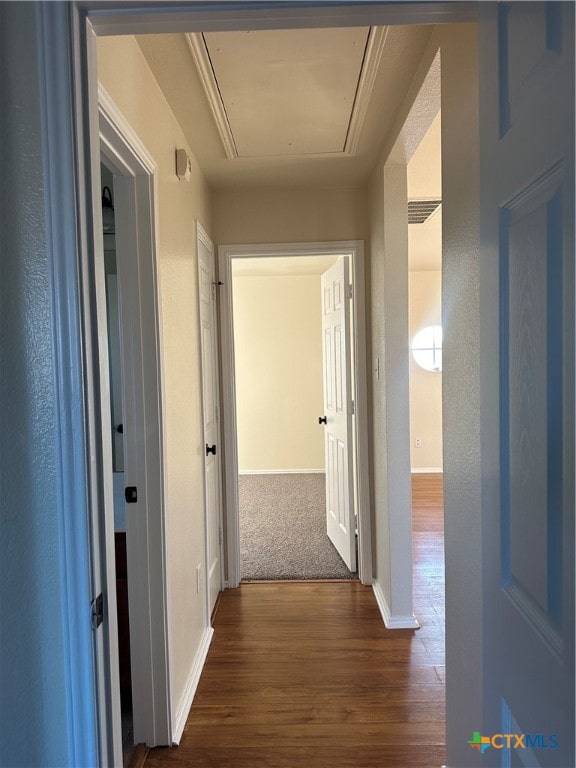 corridor with dark wood-type flooring