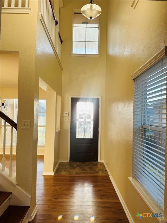 entryway with dark wood-type flooring and a healthy amount of sunlight