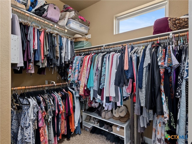 walk in closet with carpet