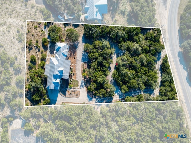 bird's eye view
