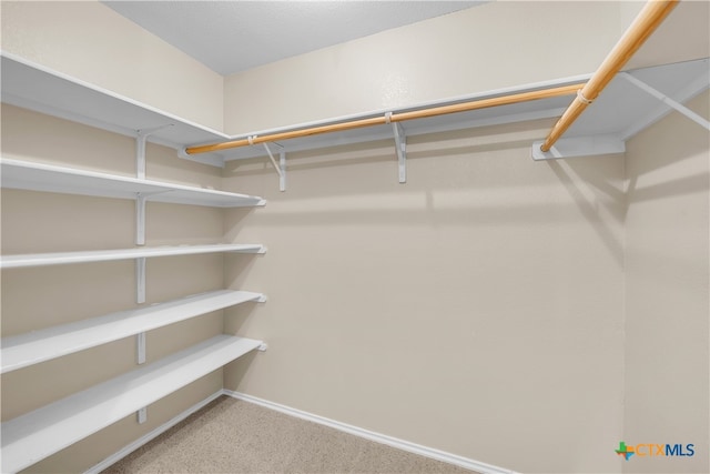 walk in closet with carpet