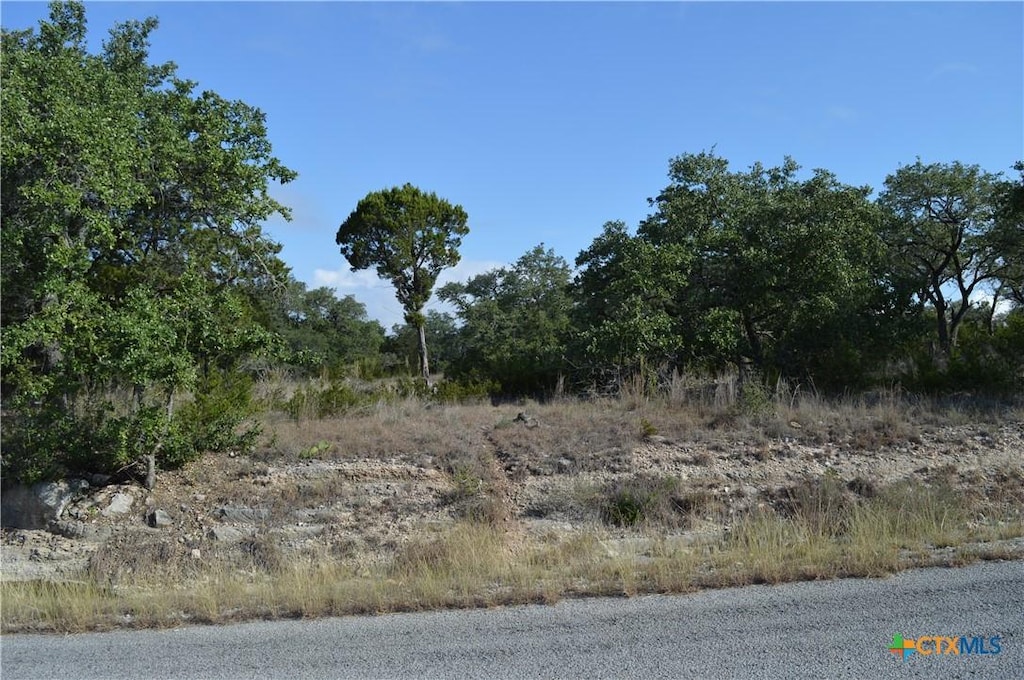 207 Flanders, Fischer, TX 78623