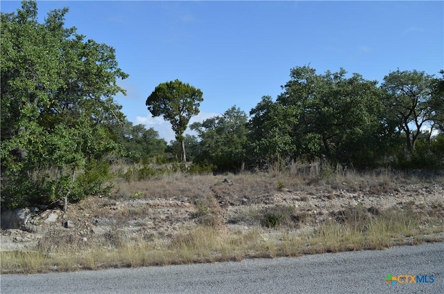 207 Flanders, Fischer, TX 78623