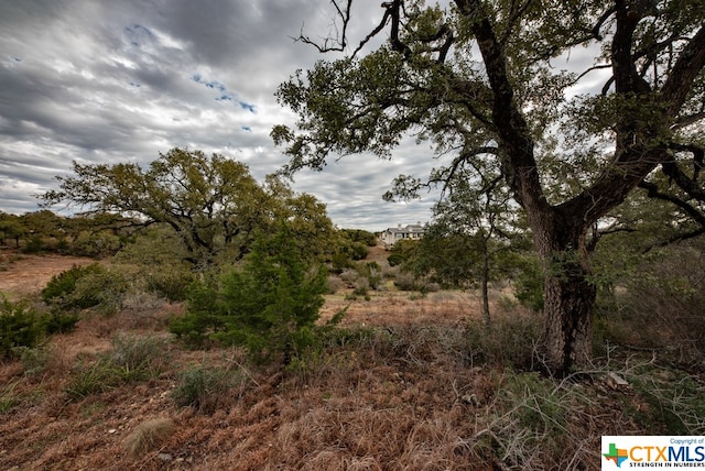 Listing photo 3 for 1218 Pinot Noir, New Braunfels TX 78132