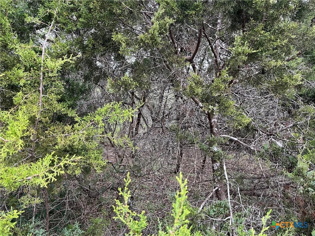 364 Lake Park Loop, Canyon Lake, TX 78133