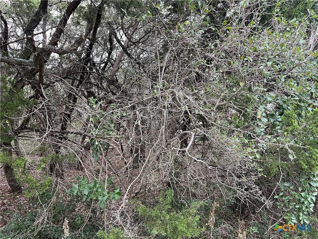 364 Lake Park Loop, Canyon Lake, TX 78133