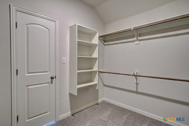 810 Saltbush St, New Braunfels, TX 78130 - spacious closet featuring carpet flooring and vaulted ceiling