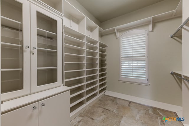 view of spacious closet