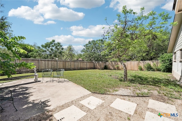 view of yard featuring a fenced backyard and a patio area