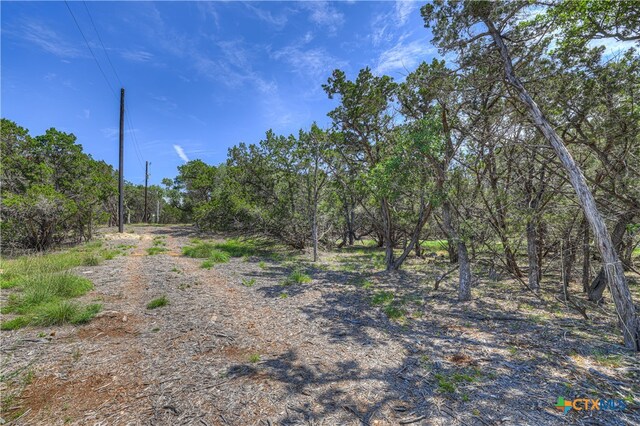 222 Lakewood Ct, Canyon Lake TX, 78133 land for sale