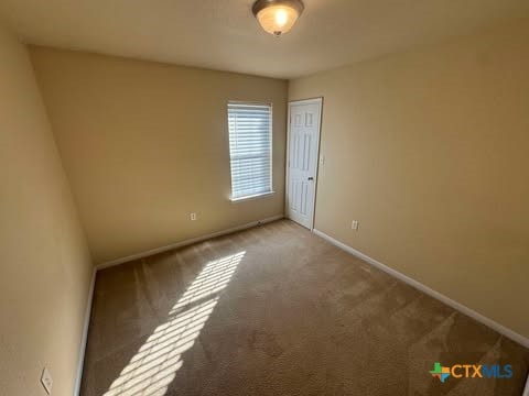 unfurnished room featuring carpet