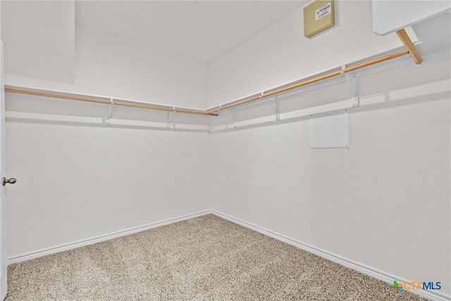 812 Waylon Cir, Killeen, TX 76542 - spacious closet featuring carpet floors