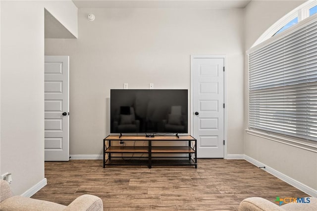 living room featuring hardwood / wood-style floors