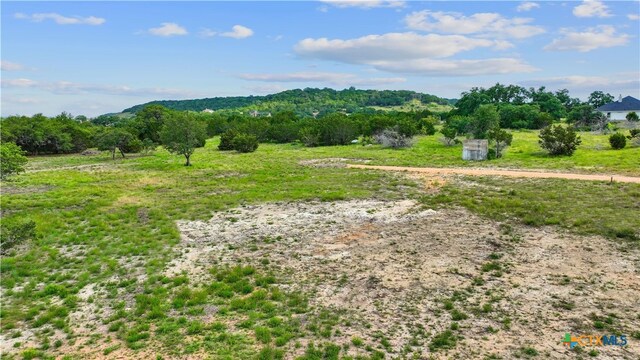 11288 S Fm 1174, Burnet, TX 78605 - photo 6