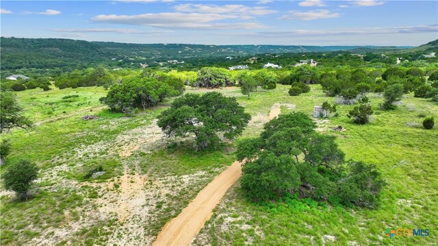 Listing photo 3 for 11288 S Fm 1174, Burnet TX 78605