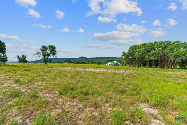 11288 S Fm 1174, Burnet, TX 78605 - photo 7