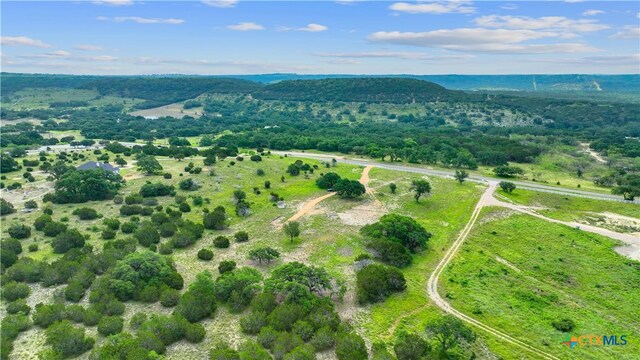 11288 S Fm 1174, Burnet, TX 78605 - photo 4