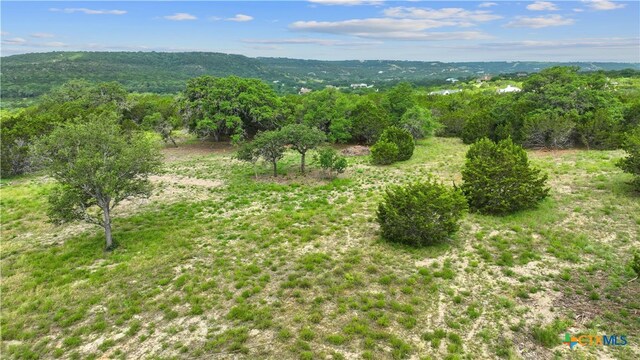 11288 S Fm 1174, Burnet, TX 78605 - photo 10