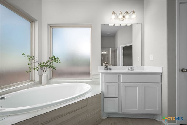 full bathroom featuring a healthy amount of sunlight, vanity, and a garden tub