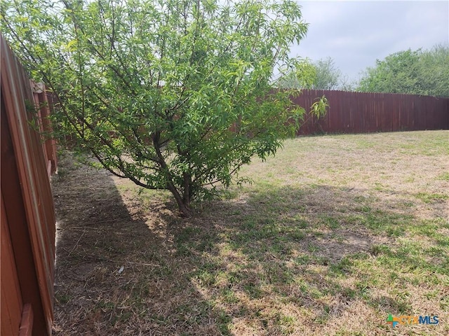 362 Azalea Way, New Braunfels, TX 78132 - view of yard featuring a ceiling fan and a fenced backyard