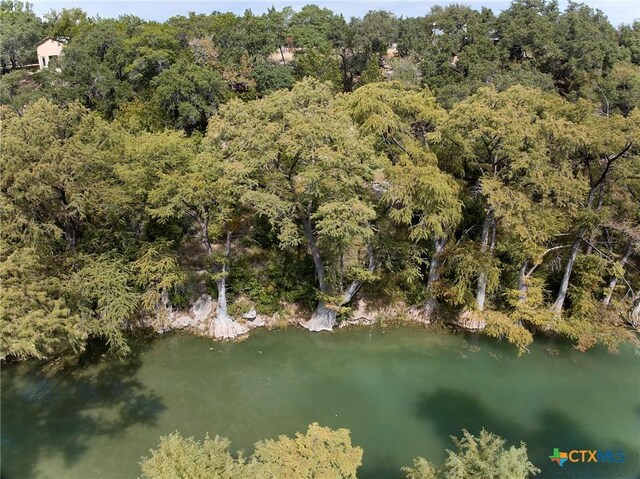 211 River Oaks Dr, Wimberley, TX 78676 - photo 7