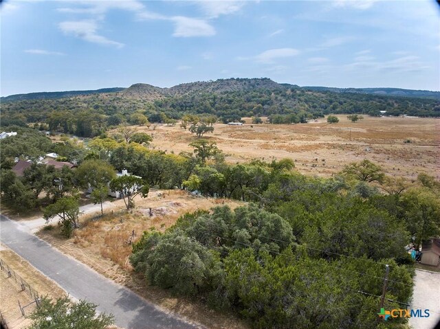 211 River Oaks Dr, Wimberley, TX 78676 - photo 5