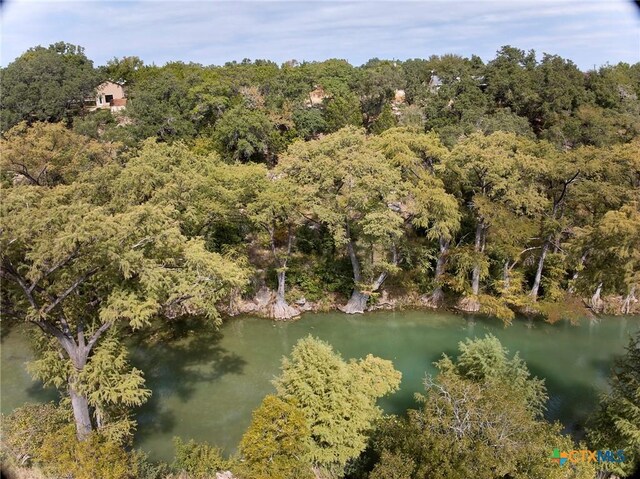 211 River Oaks Dr, Wimberley, TX 78676 - photo 6