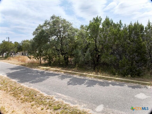 211 River Oaks Dr, Wimberley, TX 78676 - photo 2