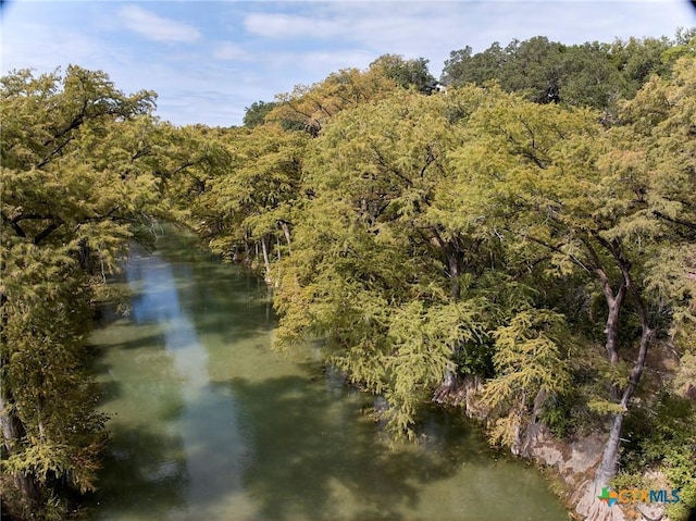 211 River Oaks Dr, Wimberley, TX 78676 - photo 9