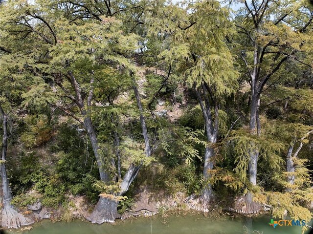 211 River Oaks Dr, Wimberley, TX 78676 - photo 3