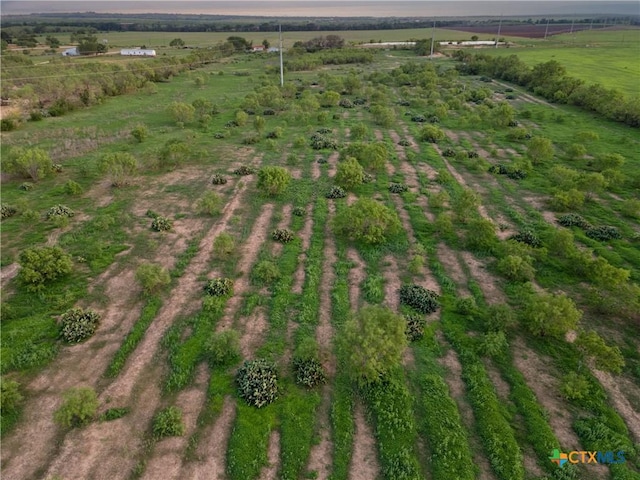 1236 County Road 7611, Devine, TX 78016 - aerial view of property's location featuring rural landscape