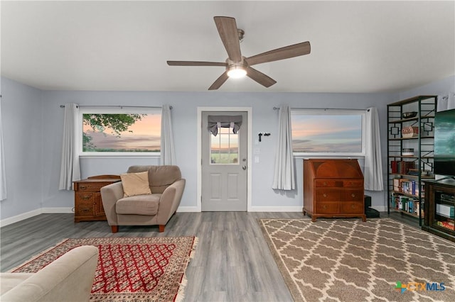 1236 County Road 7611, Devine, TX 78016 - living area with wood finished floors, a ceiling fan, and healthy amount of natural light